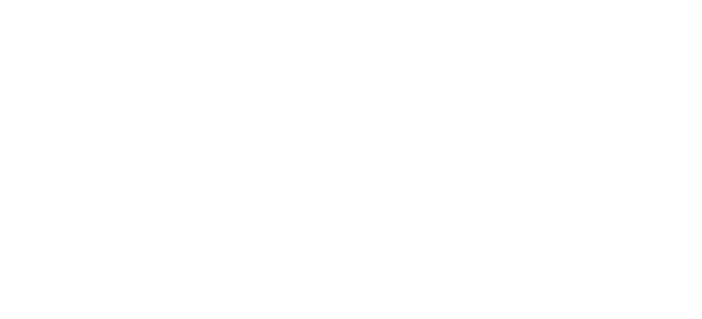 Logotipo Karl Storz